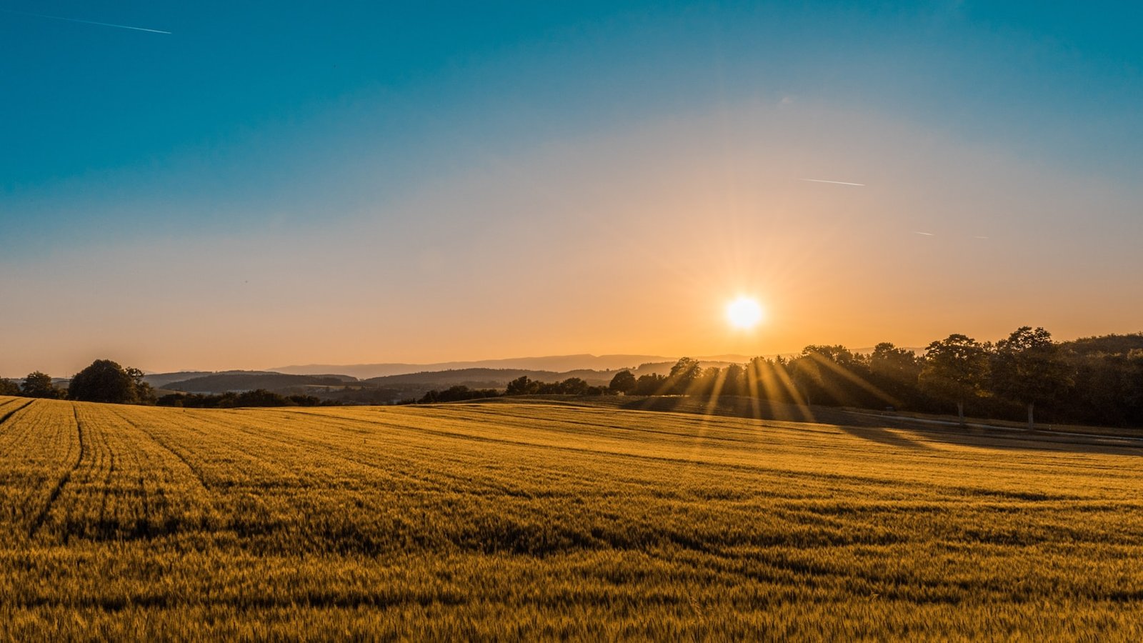 Helping scientists drive the agricultural advances of the 21st century